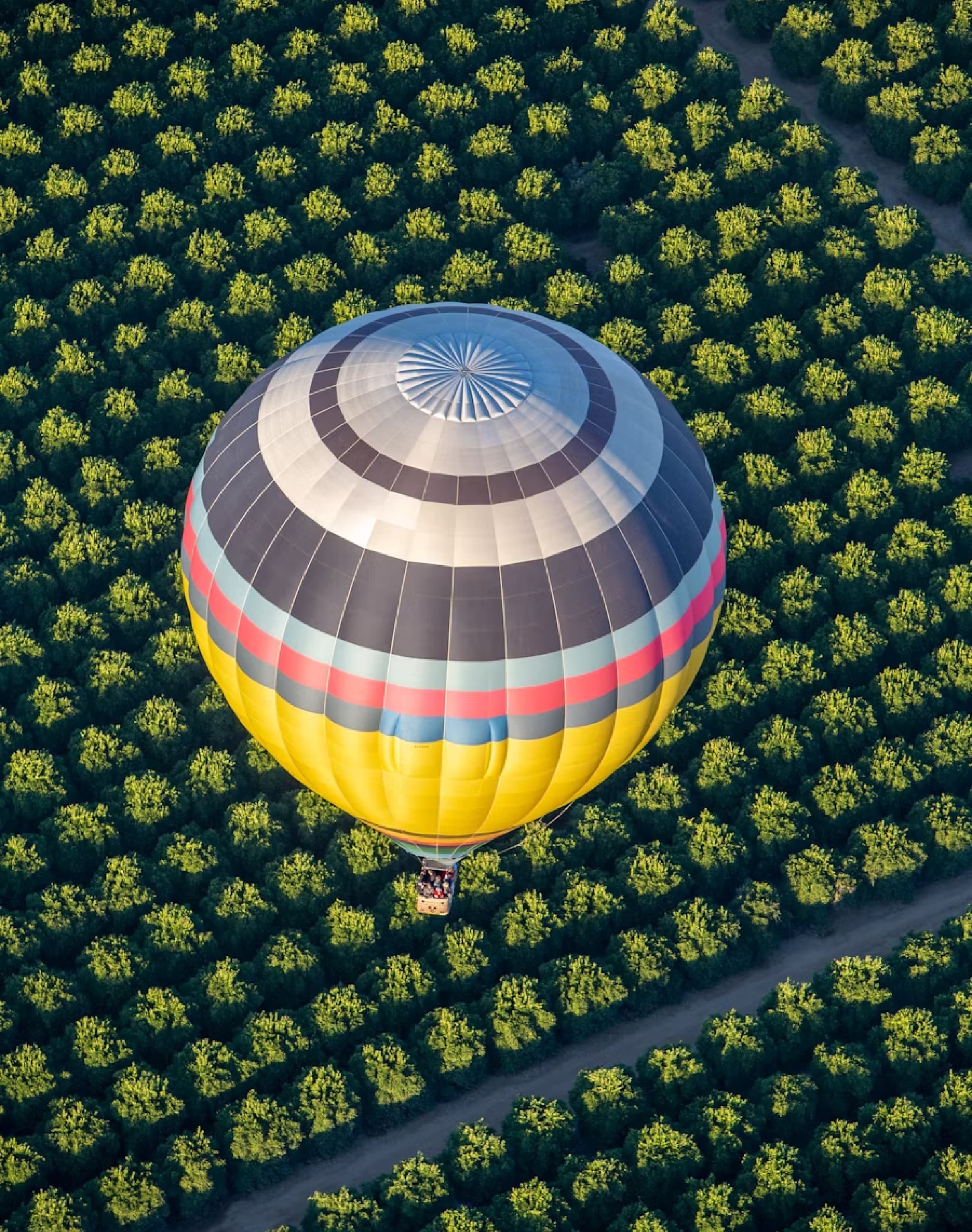 we've seen plenty image