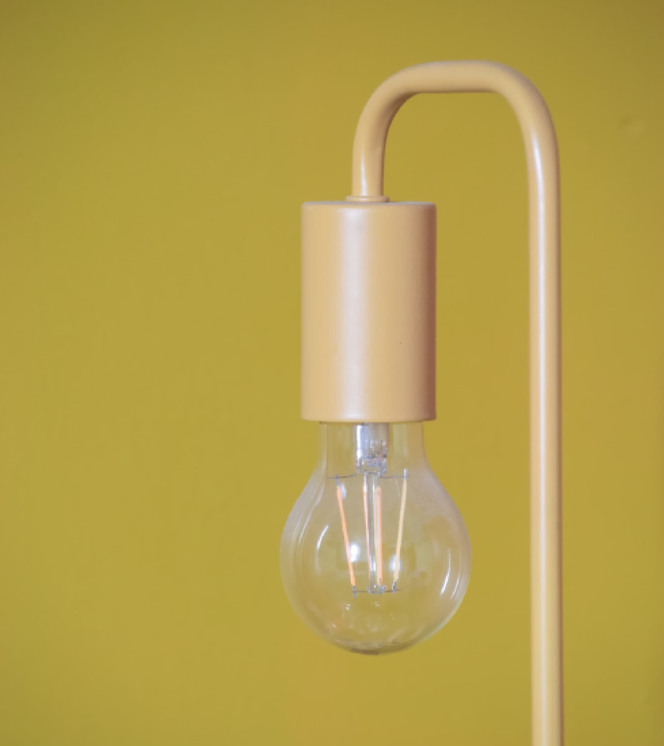 light bulb image